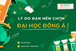 Lý do bạn nên chọn Đại học Đông Á